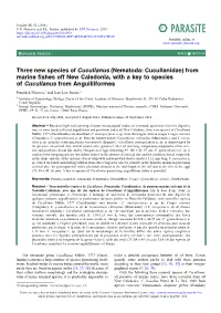 From Marine Fishes Off New Caledonia, with a Key to Species of Cucullanus from Anguilliformes