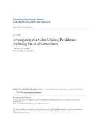 Investigation of a Sulfur-Utilizing Perchlorate-Reducing Bacterial Consortium" (2011)