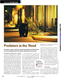 Predators in the 'Hood