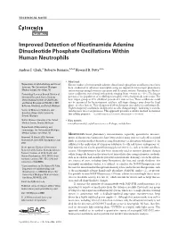 Improved Detection of Nicotinamide Adenine Dinucleotide Phosphate Oscillations Within Human Neutrophils