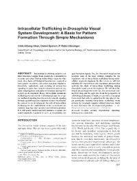 Intracellular Trafficking in Drosophila Visual System Development: a Basis
