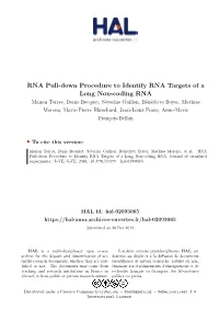RNA Pull-Down Procedure to Identify RNA Targets of a Long Non-Coding