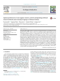 Spatial Prediction of Soil Organic Matter Content Integrating Artificial