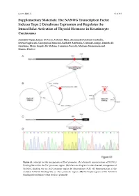 The NANOG Transcription Factor Induces Type 2 Deiodinase Expression and Regulates the Intracellular Activation of Thyroid Hormone in Keratinocyte Carcinomas