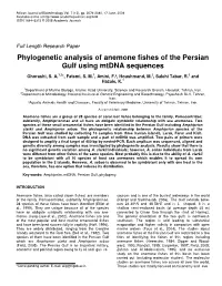 Phylogenetic Analysis of Anemone Fishes of the Persian Gulf Using Mtdna Sequences