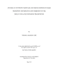 Studies of Synthetic Particles and Nerve Endings on Mass