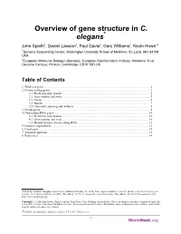 Overview of Gene Structure in C. Elegans