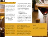 What Is a Cicerone? the First Exam Assesses Knowledge Only and Is Given Online