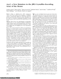 Aey2, a New Mutation in the ßb2-Crystallin–Encoding Gene Of