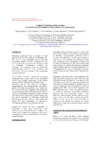 Current Temperature Studies in Kamojang Geothermal Field West Java Indonesia