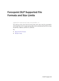 Forcepoint Supported File Formats and Size Limits