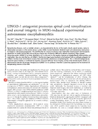 LINGO-1 Antagonist Promotes Spinal Cord Remyelination and Axonal Integrity in MOG-Induced Experimental Autoimmune Encephalomyelitis