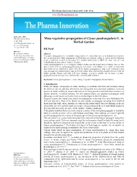 Mass Vegetative Propagation of Cissus Quadrangularis L. in Herbal