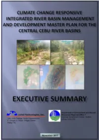 1-Ccrbmp-Executive-Summary