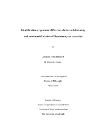 Identification of Genomic Differences Between Laboratory and Commercial