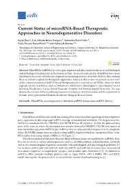 Current Status of Microrna-Based Therapeutic Approaches in Neurodegenerative Disorders