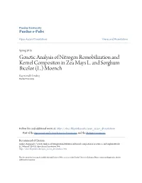 Genetic Analysis of Nitrogen Remobilization and Kernel Compositon in Zea Mays L