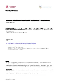Complete Thesis
