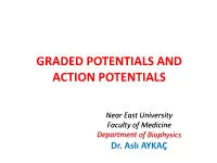 Graded Potentials and Action Potentials
