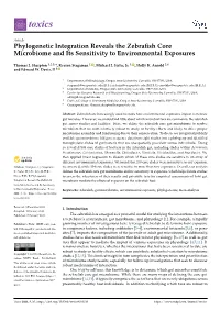 Phylogenetic Integration Reveals the Zebrafish Core Microbiome and Its