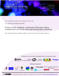 Evidence for the Endophytic Colonization of Phaseolus Vulgaris (Common Bean) Roots by the Diazotroph Herbaspirillum Seropedicae