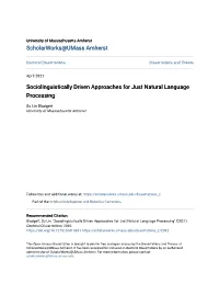 Sociolinguistically Driven Approaches for Just Natural Language Processing