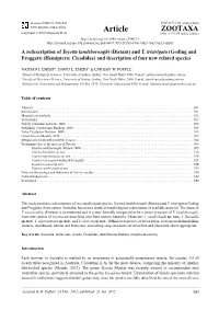 And Y. Tristrigata (Goding and Froggatt) (Hemiptera: Cicadidae) and Description of Four New Related Species
