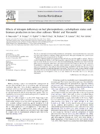 Effects of Nitrogen Deficiency on Leaf Photosynthesis, Carbohydrate Status and Biomass Production in Two Olive Cultivars