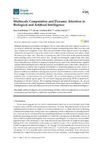 Multiscale Computation and Dynamic Attention in Biological and Artificial