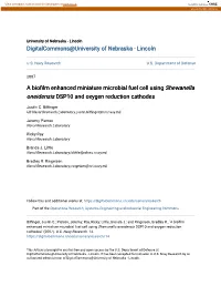 A Biofilm Enhanced Miniature Microbial Fuel Cell Using Shewanella Oneidensis DSP10 and Oxygen Reduction Cathodes