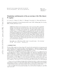 Morphology and Kinematics of the Gas Envelope of the Mira Binary W Aquilae 3