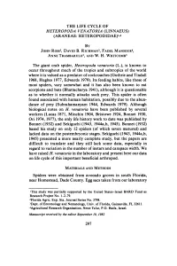 The Life Cycle of Heteropoda Venatoria (Linnaeus) (Araneae: Heteropodidae)I, by John Ross 3, David B
