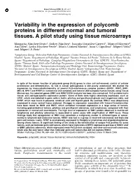 Variability in the Expression of Polycomb Proteins in Different Normal and Tumoral Tissues