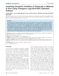 (Cyp19a1b-GFP) Zebrafish Embryos