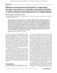 Efficient Neocentromere Formation Is Suppressed by Gene Conversion to Maintain Centromere Function at Native Physical Chromosomal Loci in Candida Albicans