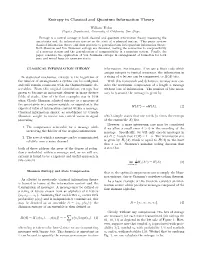 Entropy in Classical and Quantum Information Theory