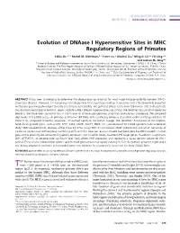 Evolution of Dnaase I Hypersensitive Sites in MHC Regulatory Regions of Primates