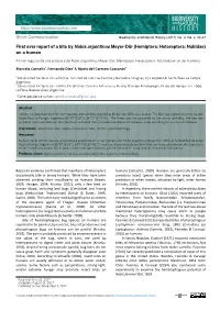 First Ever Report of a Bite by Nabis Argentinus Meyer-Dür (Hemiptera: Heteroptera: Nabidae) on a Human
