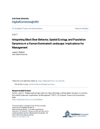 Integrating Black Bear Behavior, Spatial Ecology, and Population Dynamics in a Human-Dominated Landscape: Implications for Management