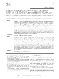 Toxicological Evaluation of the Flavonoid Rutin on the Reproductive System of Wistar Rats