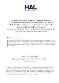 Complete Genome Sequence of Strain BW-2, a Magnetotactic