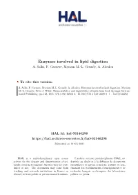 Enzymes Involved in Lipid Digestion A