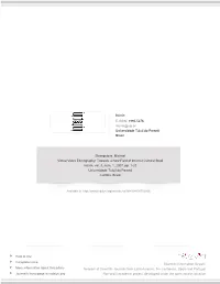 Redalyc.Virtual Video Ethnography: Towards a New Field of Internet Cultural Studi