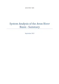 System Analysis of the Avon River Basin - Summary
