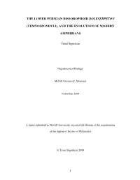 (Temnospondyli), and the Evolution of Modern