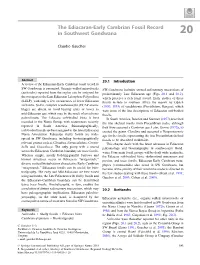 The Ediacaran-Early Cambrian Fossil Record in Southwest Gondwana 20