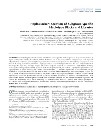 Creation of Subgroup-Specific Haplotype Blocks and Libraries