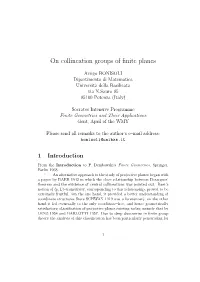 On Collineation Groups of Finite Planes