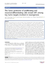 The Sumo Proteome of Proliferating and Neuronal-Differentiating Cells Reveals Utf1 Among Key Sumo Targets Involved in Neurogenesis Juan F