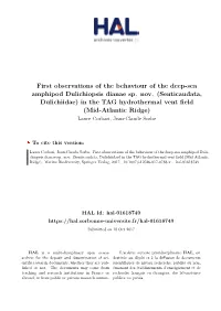 First Observations of the Behaviour of the Deep-Sea Amphipod Dulichiopsis Dianae Sp